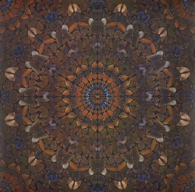 The Rape of Persephone, 2013
